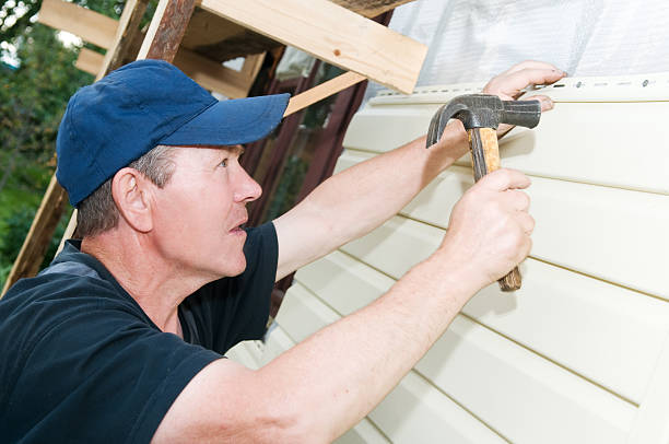 Best Siding Repair  in Decorah, IA