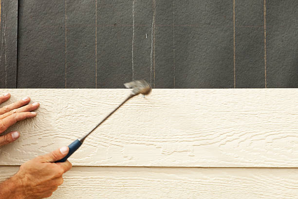 Best Siding Maintenance  in Decorah, IA