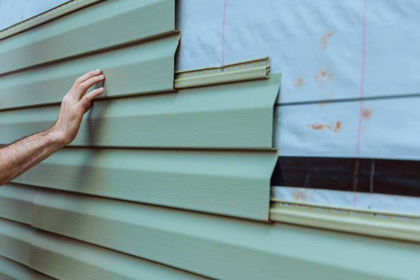 Best Custom Siding Design  in Decorah, IA